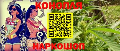 дмт Славгород