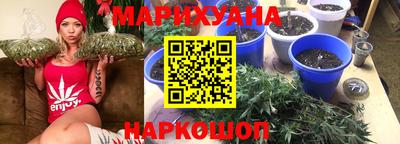 дмт Славгород