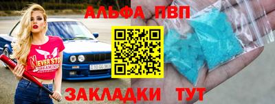 дмт Славгород