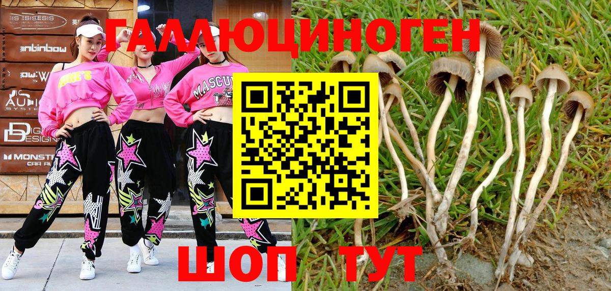 Псилоцибиновые грибы GOLDEN TEACHER Советск