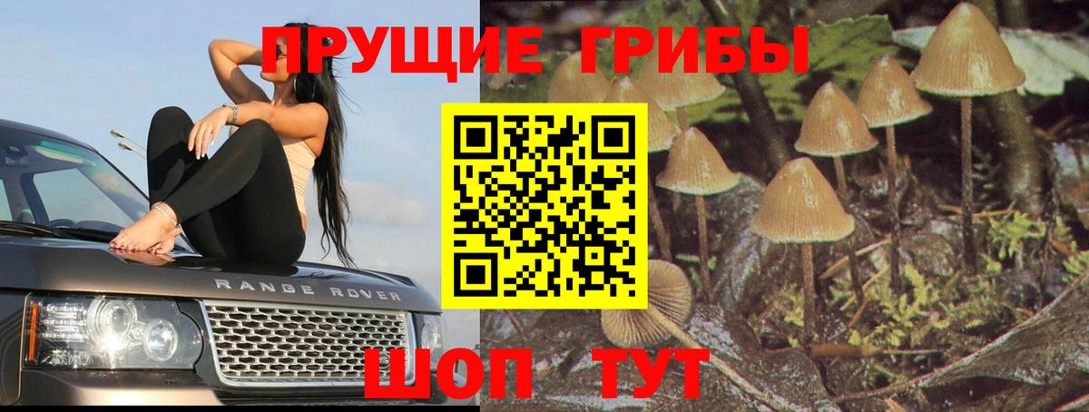 Советск  Галлюциногенные грибы мухоморы  Вход с VPN 